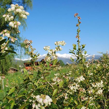Agriturismo Il Frutto Permesso Bibiana Екстериор снимка