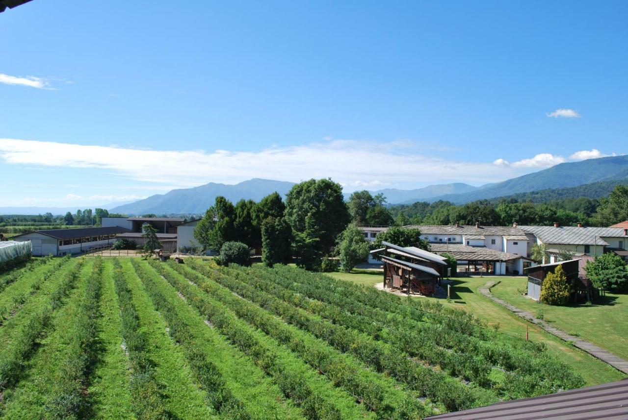Agriturismo Il Frutto Permesso Bibiana Екстериор снимка