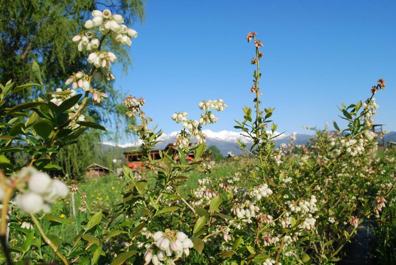 Agriturismo Il Frutto Permesso Bibiana Екстериор снимка