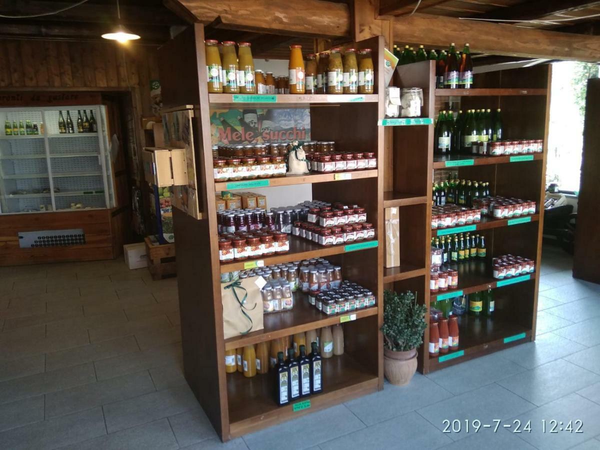 Agriturismo Il Frutto Permesso Bibiana Екстериор снимка